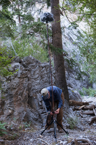 Fred Bell sets up his sound recording equipment in Fletcher Canyon at Mount Charleston on Thursday, June 19, 2014. Bell goes to various areas to record the sounds of nature, usually for hours at a ...
