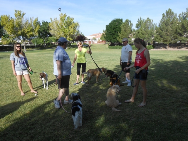 About 12 members of an unofficial dog walkers group gathered May 17 at The Crossing Park, 1111 Crestdale Lane. They meet every morning to walk their dogs and have taken on the task of picking up o ...