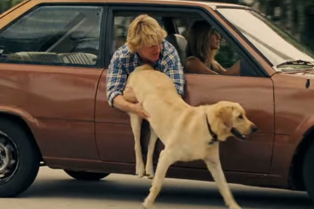 Family (and animal) friendly movies for dog lovers | Las Vegas  Review-Journal