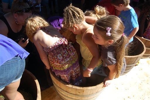 The children's grape stomp underway on Saturday, Sept. 20, 2014 at the Willamette Valley Vineyards in Turner, Oregon featured young stompers assisted by their parents. The annual Grape Stomp draws ...