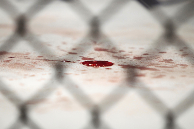 Blood from Tim Kennedy spots the mat after his fight with Yoel Romero at UFC 178 Saturday, Sept. 27, 2014 at the MGM Grand Garden Arena in Las Vegas. (Sam Morris/Las Vegas Review-Journal)