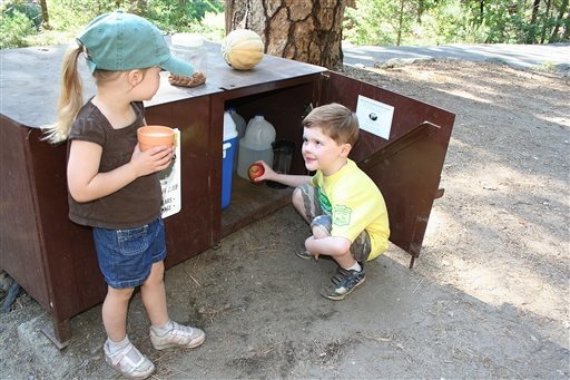 In this 2010 photo provided by the Yosemite Conservancy, children look inside a bear-proof food locker in Yosemite National Park, Calif. Keeping wild black bears in Yosemite National Park away fro ...