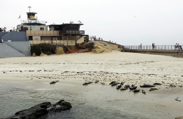 6 Beaches Worth The Drive From Las Vegas Las Vegas Review Journal