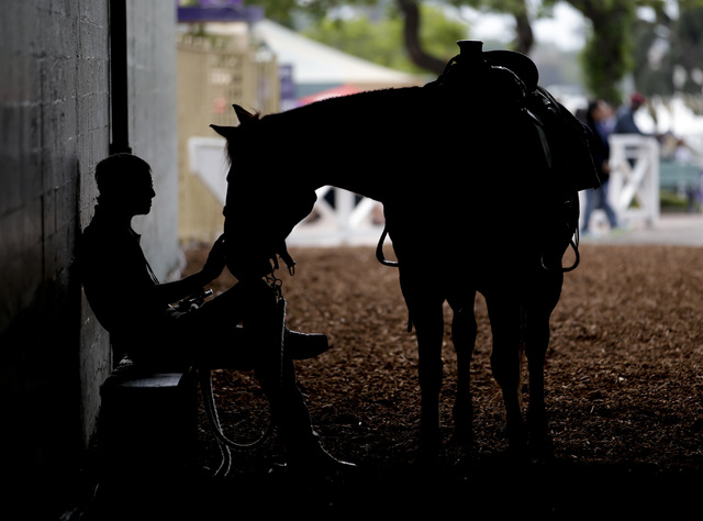 A pony rider waits for the start of the Breeders Cup horse races Friday, Oct. 31, 2014, at Santa Anita Park in Arcadia, Calif. (AP Photo/Jae C. Hong)