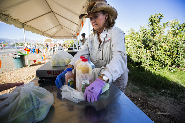 Pamela Tuttle bags homemade apple cider at Gilcrease Orchard, 7800 N. Tenaya Way, on Thursday, Oct. 9, 2014. The cider is made from apples at the orchard. (Jeff Scheid/Las Vegas Review-Journal)
