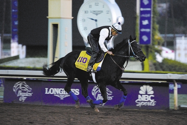 Oct 30, 2014; Santa Anita, CA, USA; Shared Belief works out in the morning to prepare for the 31st Breeders Cup World Championships at Santa Anita Park. Mandatory Credit: Richard Mackson-USA TODAY ...