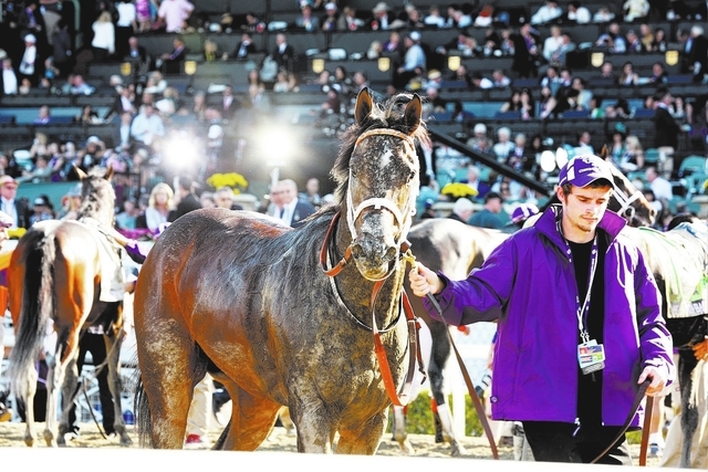 A view of atmosphere at the 30th Running of the Breeders' Cup World Championships Day 2, on Saturday, November 2, 2013 in Arcadia, Calif. (Photo by Alexandra Wyman/Invision for Breeders' Cup/AP Im ...