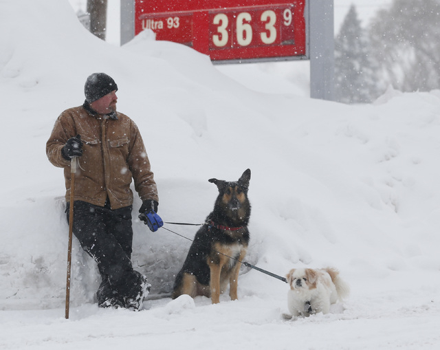 Tom Kitson of Ayr, Ontario, with companions Dug and Champ, waits for a friend outside a convenient store on Thursday, Nov. 20, 2014, in West Seneca, N.Y. A new blast of lake-effect snow pounded Bu ...