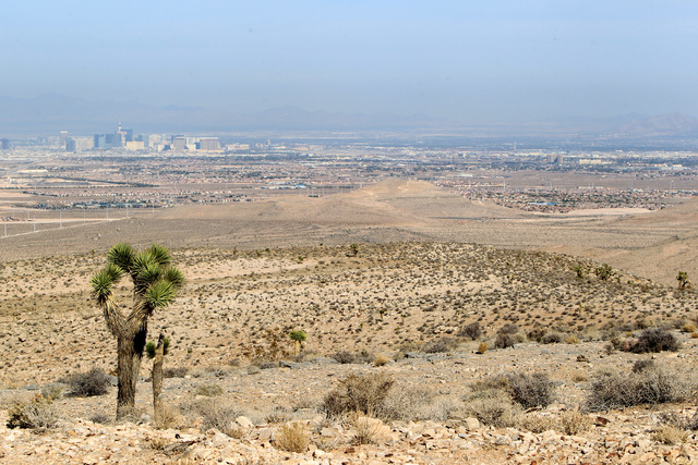 This is a view of the approach path from the crash site of Bonanza Flight 114 about 15 miles southwest of McCarran International Airport Thursday, Nov. 13, 2014. (Sam Morris/Las Vegas Review-Journal)