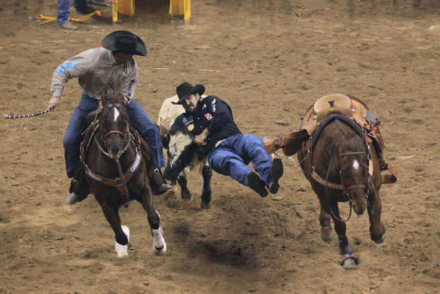 Steer wrestler Luke Branquinho from Los Alamos, Calif., grabs his steer during the seventh go around of the National Finals rodeo Wednesday, Dec. 10, 2014 at the Thomas & Mack Cener. (/Las Vegas R ...