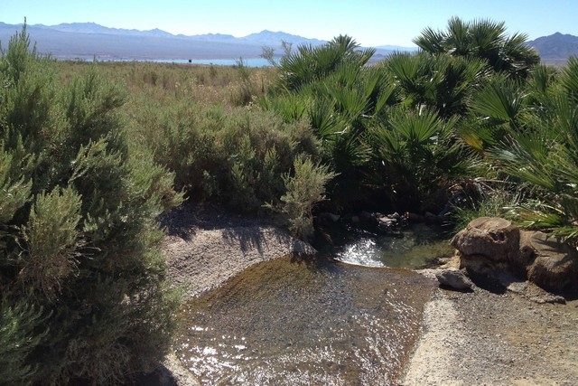 Rogers Spring, located a few miles north of the Echo Bay turnoff along Northshore Road, features palm trees and a natural spring where visitors can picnic while getting a scenic look at Lake Mead. ...