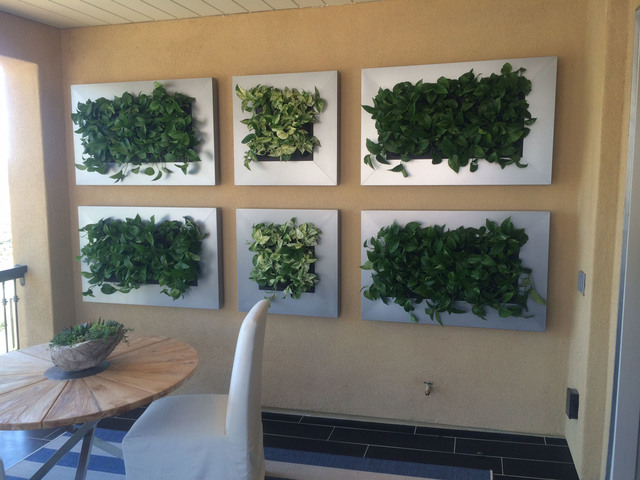 Courtesy Interior Gardens
An organic living wall has become the latest trend among plant lovers.