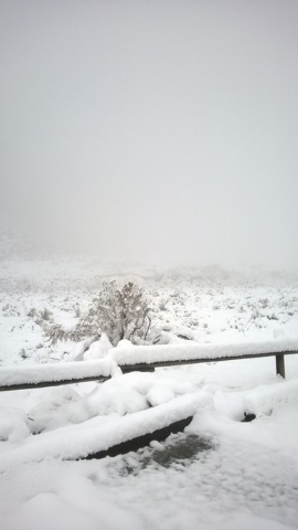 Las Vegas police resumed the search Monday for three hikers stranded by wintry weather at Red Rock Canyon National Conservation Area. (Courtesy Las Vegas Metropolitan Police Department)