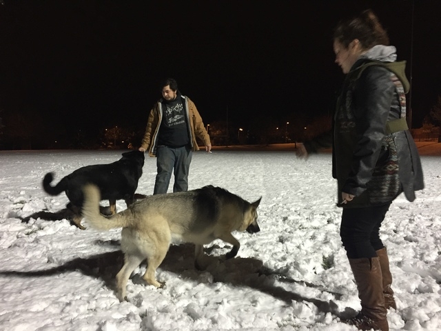 Alexander Callirgos, left, and Devereaux Adams play with their dogs, Zar and Jambi, in the snow at the Vistas Park football field in Las Vegas early Monday, Feb. 23, 2015. "I've lived in Las Vegas ...