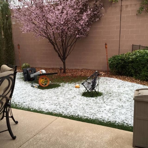 After a night of showers, some Las Vegas valley residents woke up to a cool surprise: Snow! (Courtesy, Nicole Favorito)
