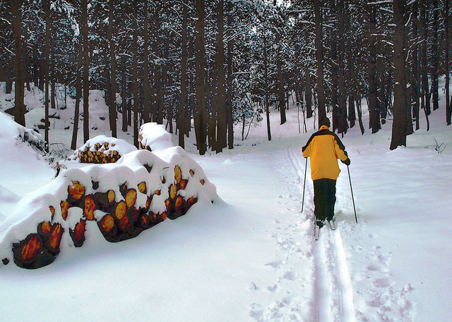 (Courtesy of Flagstaff Convention and Visitors Bureau)