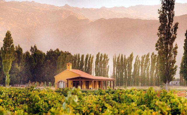 At this Andean wine center you can sit with a glass of wine amid grapes and gaze at a multicolored mountain-scape. Case in point: This view at Vintas de Cafayate Wine Resort