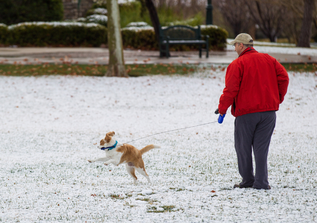 Robert Blau walks as Scooter, a collie mix, gets excited by the snow at Gardens Park in the Summerlin area of Las Vegas on Monday, Feb. 23, 2015. Parts of Summerlin were dusted with about one to t ...