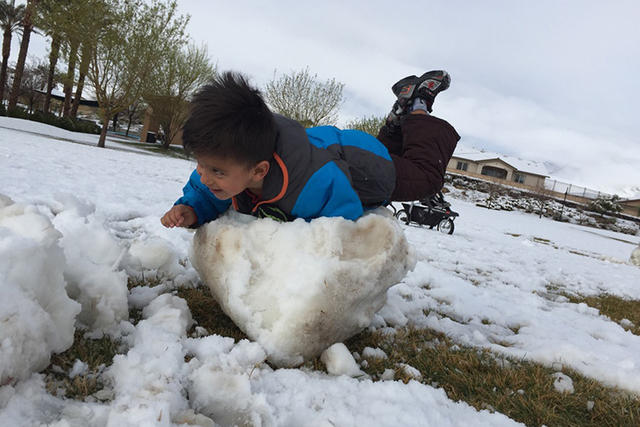 Lorenzo Serrata, 4, practices his belly flop in the snow at Paseo Park in Las Vegas Monday, Feb. 23, 2015. (Adam Causey/Las Vegas Review-Journal)