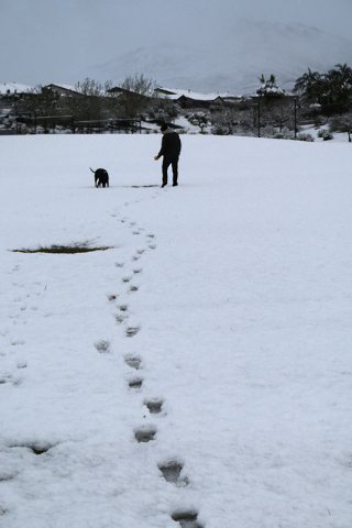 An early morning walk in Summerlin on Monday, Feb. 23, 2015, is a little colder with a blanket of snow on the ground as a Summerlin resident takes a dog out. (Mark Antonuccio/Las Vegas Review-Journal)