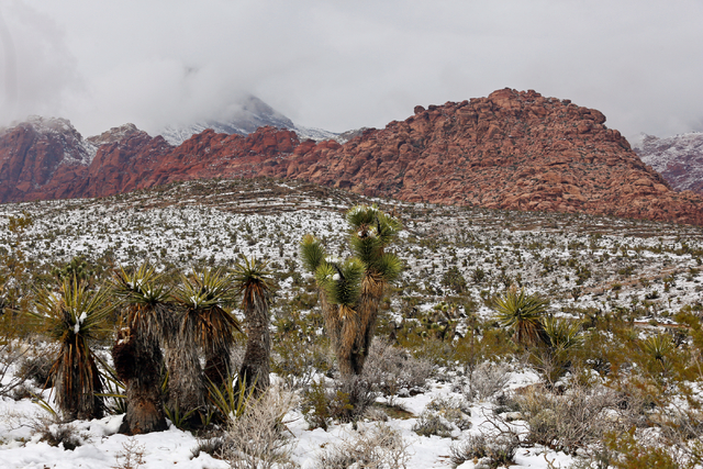 Snowfall can be seen at Red Rock Canyon National Conservation Area Monday, Feb. 23, 2015, in Las Vegas. According to Las Vegas police, three hikers were reported stranded in Red Rock Canyon near t ...