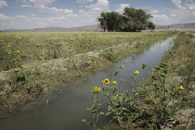 Water from a natural spring flows along an irrigation canal on a family-owned ranch in rural White Pine County. (Jason Bean/Las Vegas Review-Journal file)