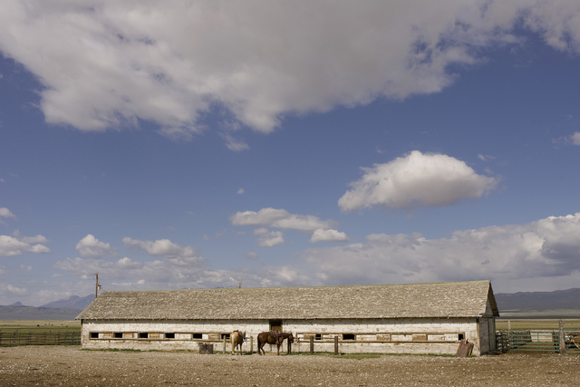 A pair of saddled horses stand outside a livestock barn at the Great Basin Ranch near Ely, in the Spring Valley area of White Pine County, Nev., June 4, 2008. The ranch, which is home to 4,000 she ...