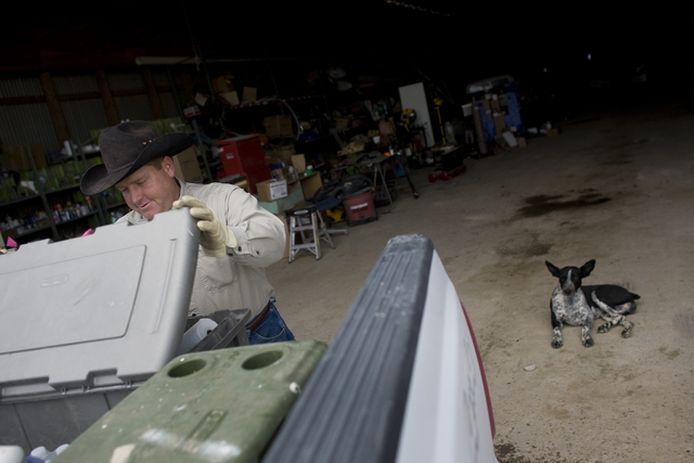 Ranch manager Brandon Humphries loads equipment onto his truck at the Great Basin Ranch near Ely, in the Spring Valley area of White Pine County, Nev., June 4, 2008. The ranch, which is home to 4, ...
