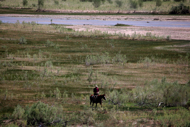 A lone man on horseback rides next to the Virgin River near Cliven Bundy's ranch in Bunkerville on Sunday, April 13, 2014.  Bundy and the Bureau of Land Management  reached a deal to stop the catt ...