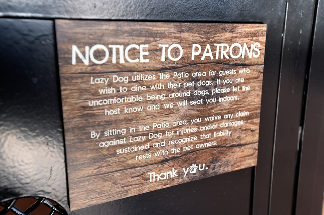 Lazy dog restaurant coupon