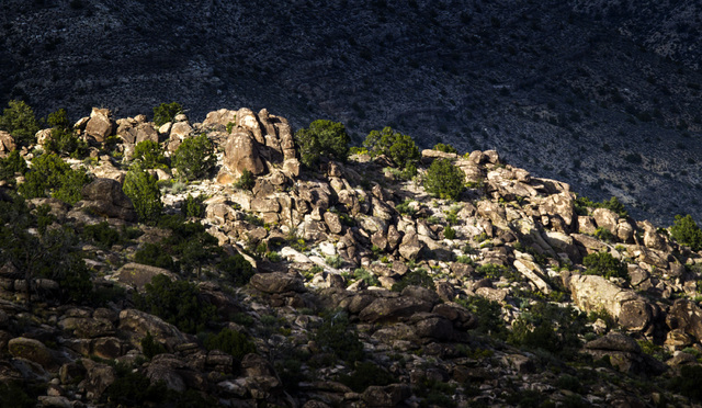 Rock outcroppings is seen Wednesday, May 20, 2015, in the Mount Irish Archaeological District, located about 130 miles north of Las Vegas. Over 800,000 acres in central Nevada is proposed as the B ...