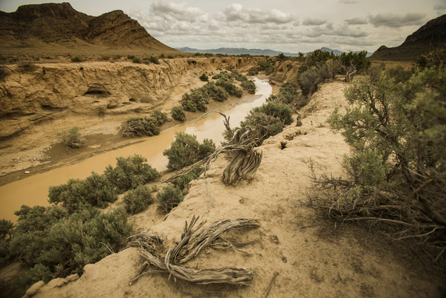 A creek runs in Coal Valley,  a three-hour drive north of Las Vegas, on Wednesday, May 20, 2015. Over 800,000 acres in central Nevada is proposed as the Basin and Range National Monument. (Jeff Sc ...