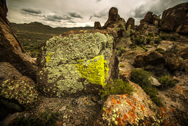 Lichen is seen Wednesday, May 20, 2015, growing  on a rock formation in Garden Valley, which is a three-hour drive north of Las Vegas. Over 800,000 acres in central Nevada is proposed as the Basin ...