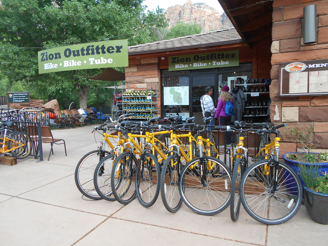 Spend more time in nature by biking Zion National Park Travel Life