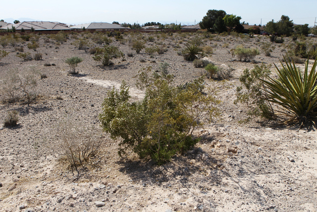 Land that is scheduled to be used for a nine home gated community development is seen near the intersection of Bright Angel Way and Eula Street in Las Vegas Thursday, May 7, 2015. Neighbors of the ...