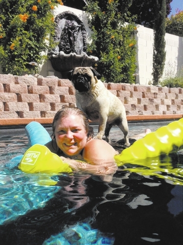 Lynn Suedel of Henderson said, “Where Gramma goes, Keno goes. Keno is a pug who loves to swim.”