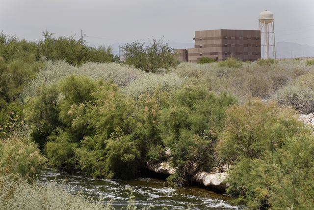 Water flows through the Las Vegas Wash in the Clark County Wetlands Park on Thursday, June 4, 2015, in Las Vegas. Almost every drop of water used indoors in the valley is recycled. (James Tensuan/ ...