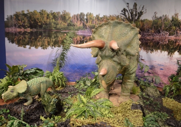 tanglewood preserve dinosaur exhibit
