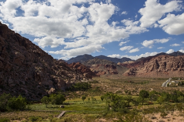 The Red Springs picnic area is seen at the Red Rock Canyon National Conservation Area on Tuesday, July 21, 2015. A portion of the boardwalk is closed off due to needing repairs. The entire boardwa ...