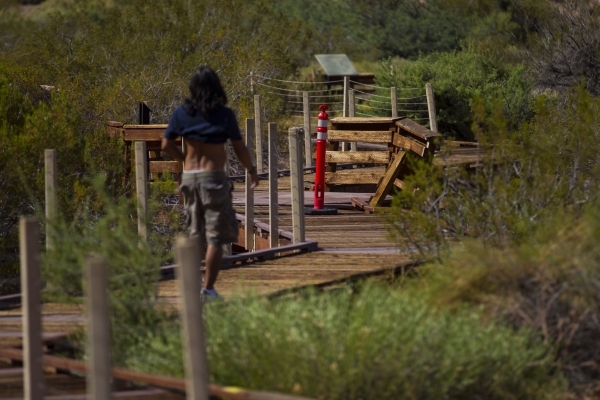 A man approaches a damaged area of the boardwalk in a portion blocked off to the public at the Red Springs picnic area in the Red Rock Canyon National Conservation Area on Tuesday, July 21, 2015.  ...
