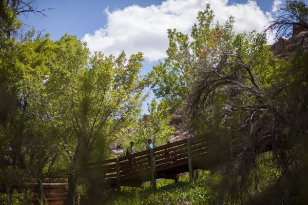 People walk along the boardwalk at the Red Springs picnic area in the Red Rock Canyon National Conservation Area on Tuesday, July 21, 2015. A portion of the boardwalk is closed off due to needing ...