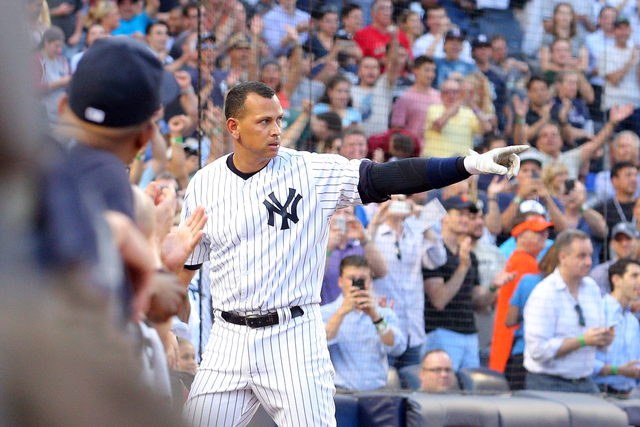 new york yankees fan