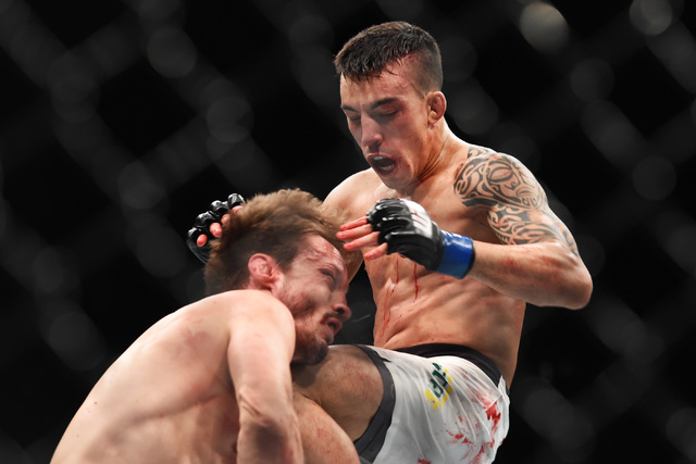 Thomas Almeida knocks out Brad Pickett with a knee to the chin during the second round of their fight at UFC 189 Saturday, July 11, 2015 at the MGM Grand Garden Arena in Las Vegas, Nevada. CREDIT: ...