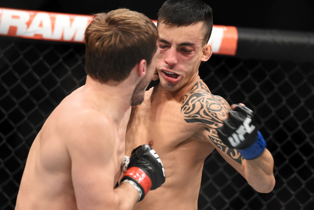 Thomas Almeida gets hit with a left from Brad Pickett during their fight at UFC 189 Saturday, July 11, 2015 at the MGM Grand Garden Arena in Las Vegas, Nevada. Almeida won by TKO in the second rou ...