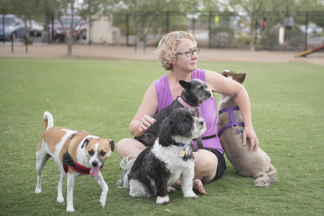 Jody Barrera plays with dogs at Heritage Bark Park  in Henderson on Saturday, July 2, 2015. (Jason Ogulnik/Las Vegas Review-Journal)