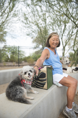 Cynthia Summerville plays with her dogs Tannuki, left, and Scruffy at Heritage Bark Park in Henderson on Saturday, July 2, 2015. (Jason Ogulnik/Las Vegas Review-Journal)