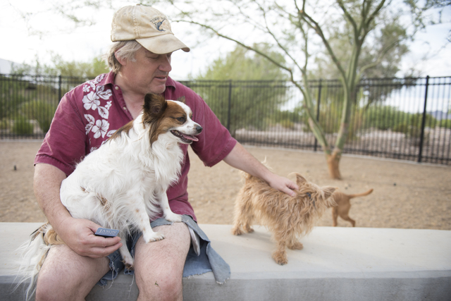Dave Bloom plays with Elvis, left, and Dexter, at Heritage Bark Park in Henderson on Saturday, July 2, 2015. (Jason Ogulnik/Las Vegas Review-Journal)