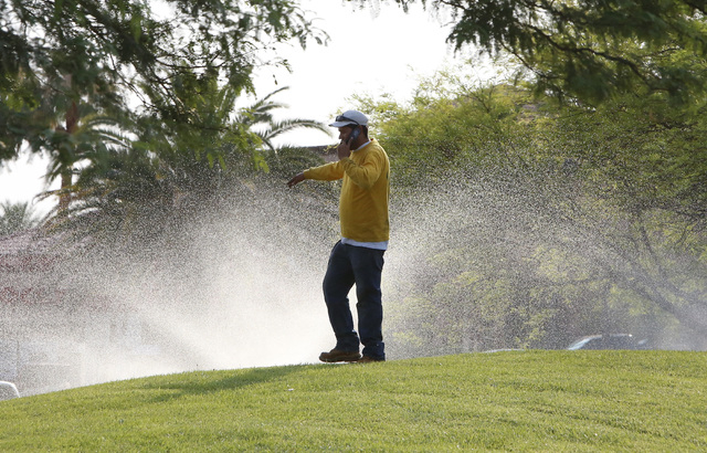 A landscaper who refused to be identified talks on his cell phone as water sprinklers spray water at St. Rose Hospital on St. Rose Pkwy in Henderson, Friday, June 26, 2015. (Bizuayehu Tesfaye/Las  ...