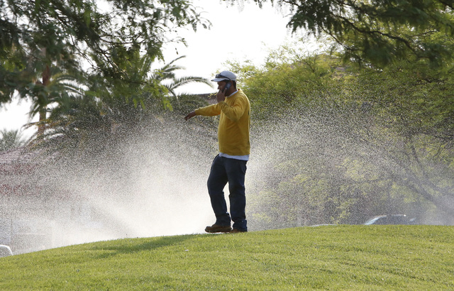 A landscaper who refused to be identified talks on his cell phone as water sprinklers spray water at St. Rose Hospital on St. Rose Pkwy in Henderson, Friday, June 26, 2015. (Bizuayehu Tesfaye/Las ...