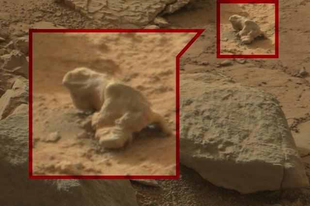 Do These Nasa Shots Prove There’s Life On Mars — Photos News